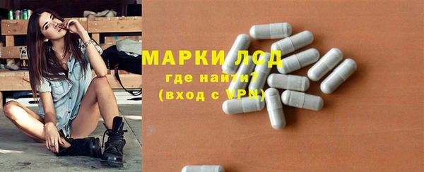 хмурый Верея