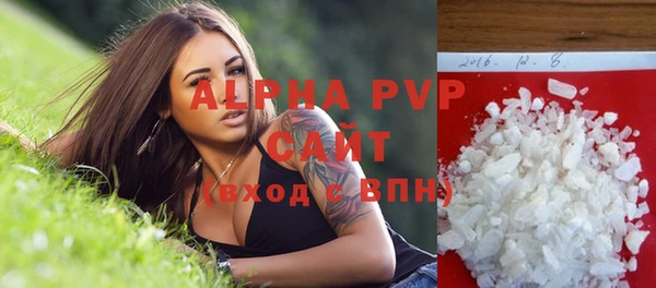 хмурый Верея