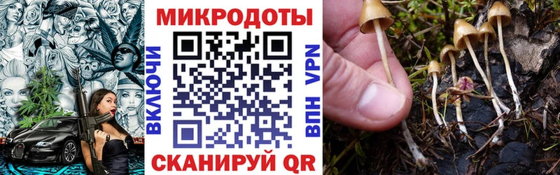 Псилоцибиновые грибы GOLDEN TEACHER Гатчина