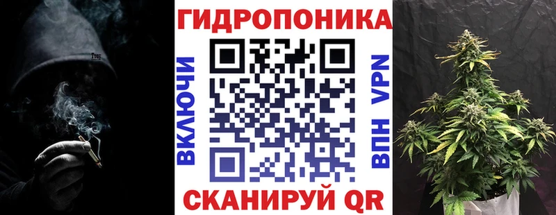 Бошки Шишки SATIVA & INDICA  hydra сайт  Гатчина  магазин продажи наркотиков 